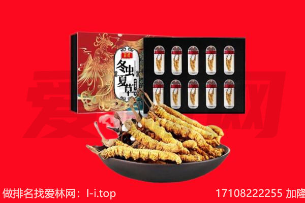 浦北县回收虫草.jpg